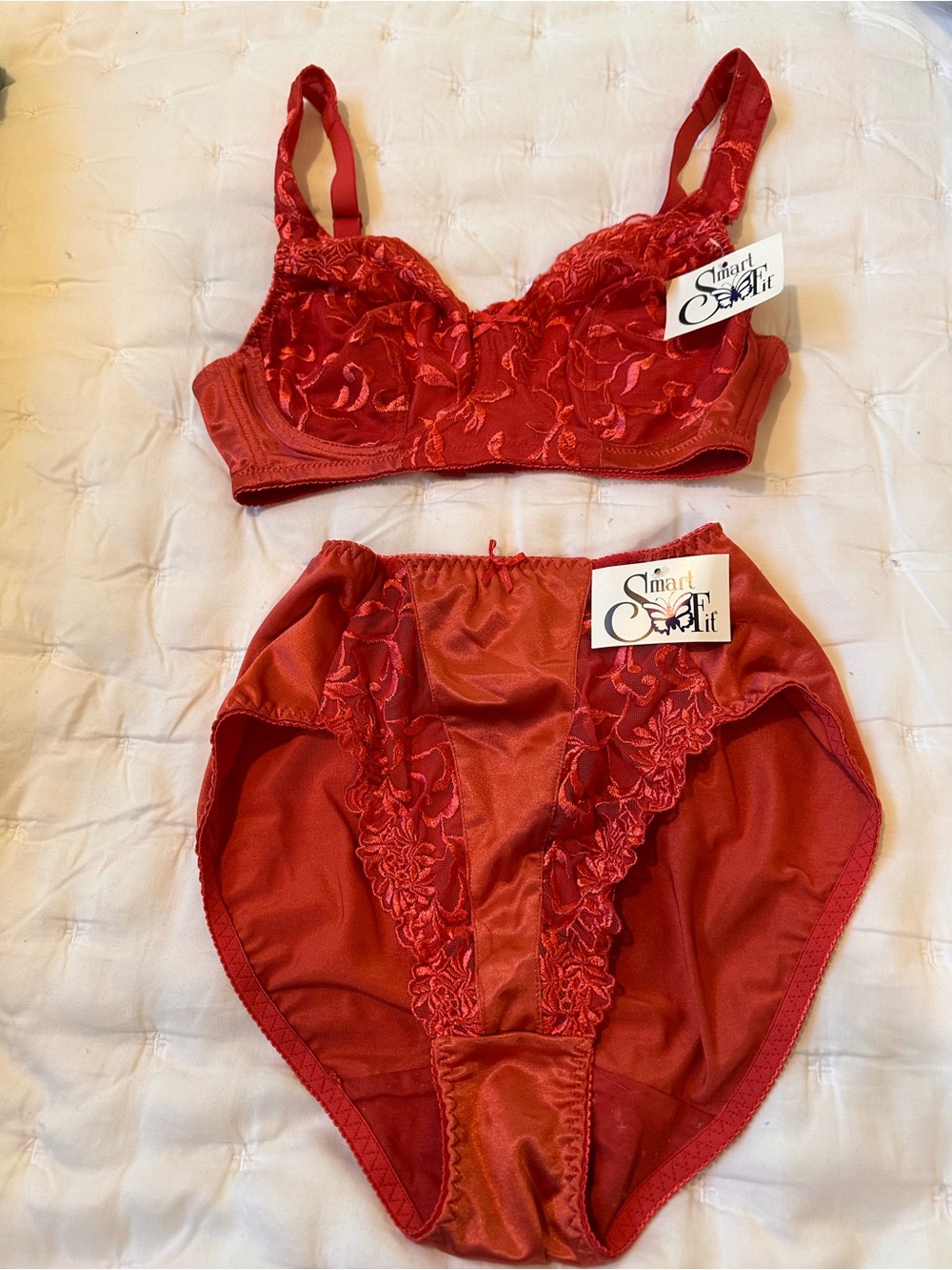 Smart Fit Red Lace Embroidered Bra and High-Waist Briefs